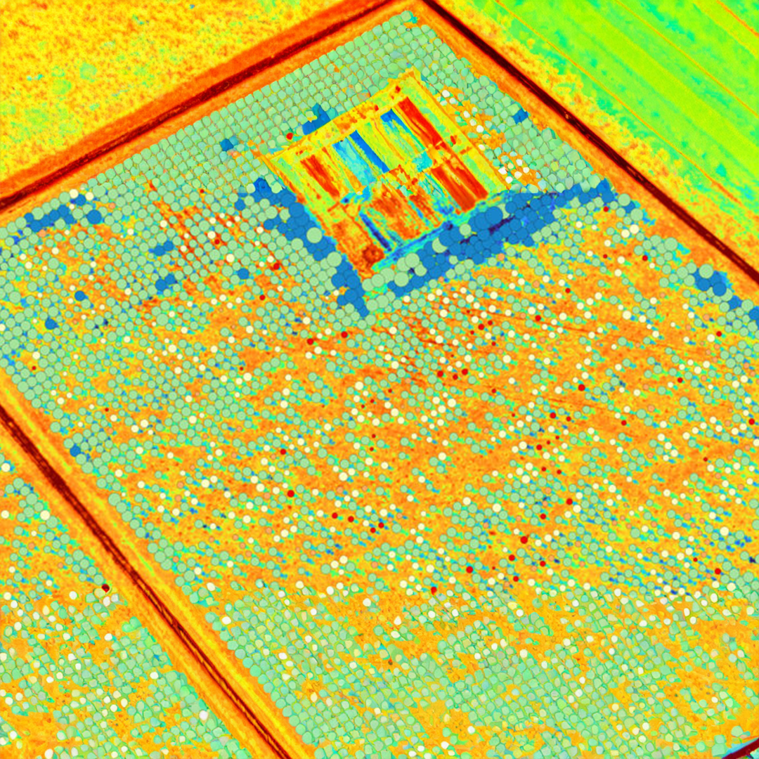 Optimised for plant-level detail