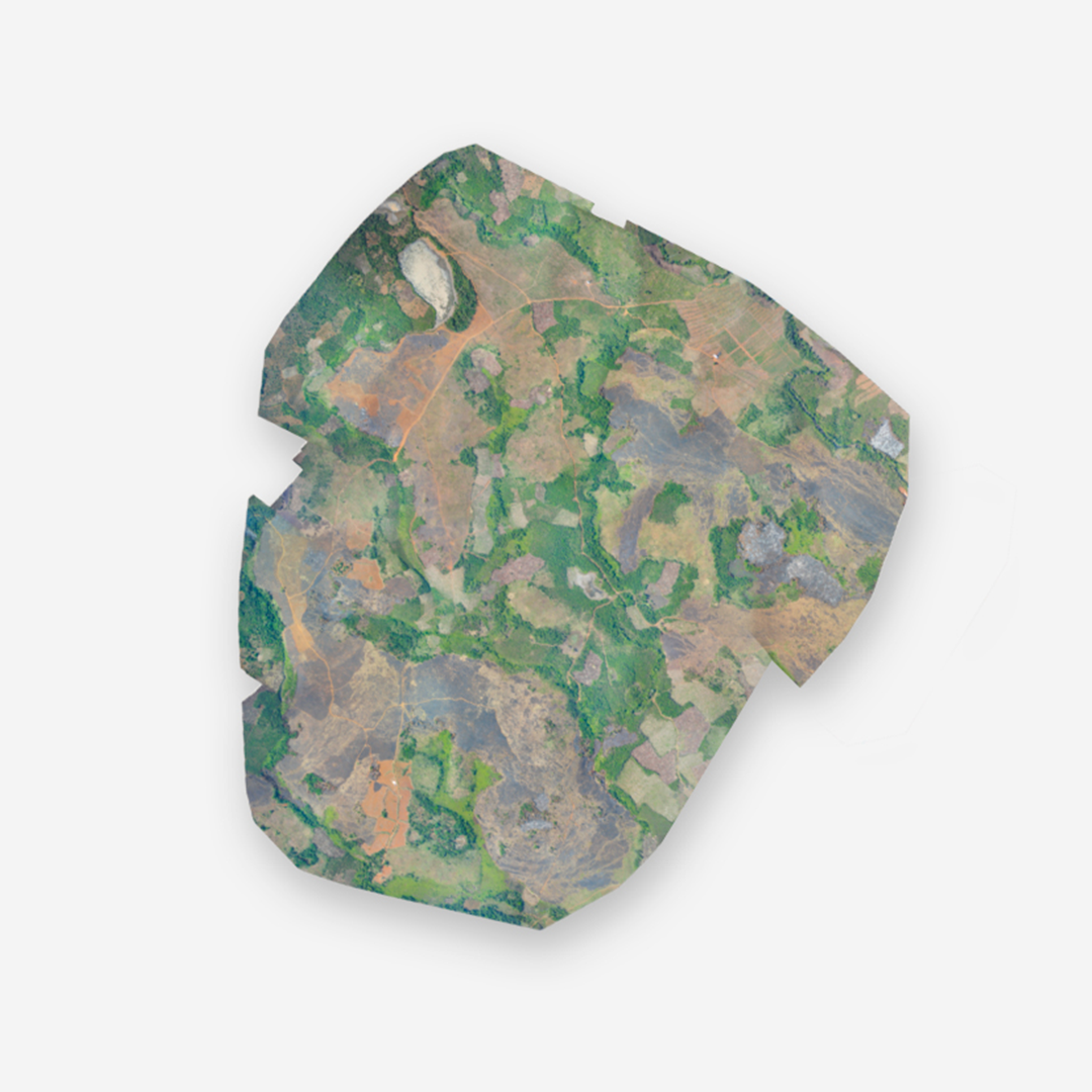 Direct in-flight georeferencing