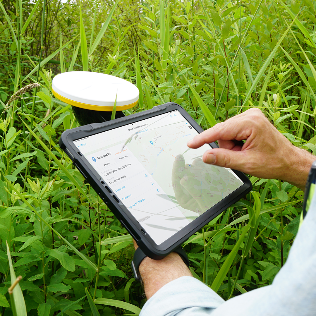 Place in any orientation